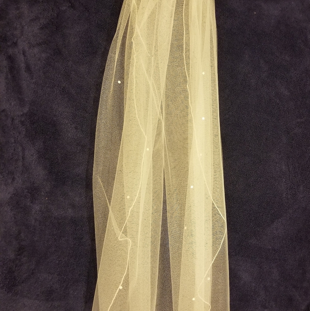 Ivory veil with rhinestones